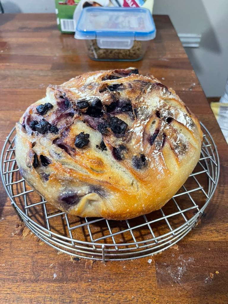 services-05 IMG 20251120 WA0015